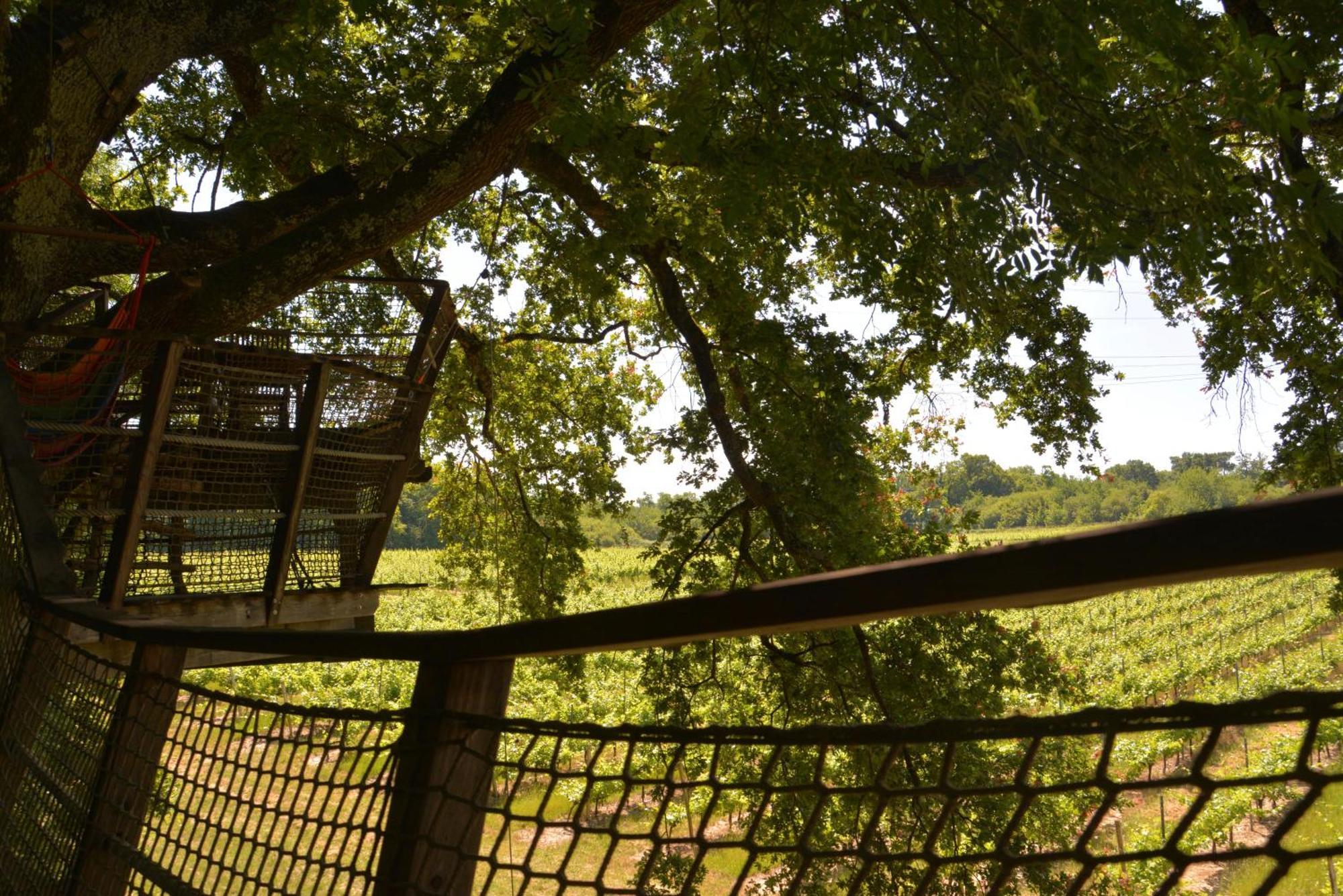 Cabanes De La Romaningue Pompignac Ngoại thất bức ảnh